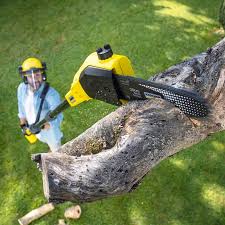 Lawn Drainage Solutions in Kirklin, IN